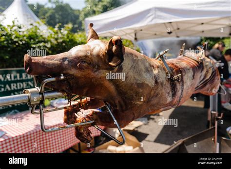 Spit Roast Hog Hi Res Stock Photography And Images Alamy