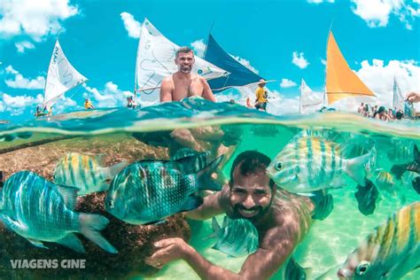 O Que Fazer Em Porto De Galinhas Top Melhores Passeios