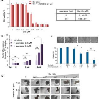 Astemizole Has A Cytotoxic And Anti Proliferative Effect On ACC Cells