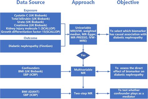 Frontiers Mendelian Randomization Study Supports The Causal