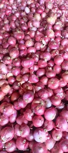 Maharashtra Cold Storage A Grade Medium Pink Onion For Food Loose At