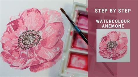 Beginners Step By Step Painting And Drawing Anemone In Watercolour