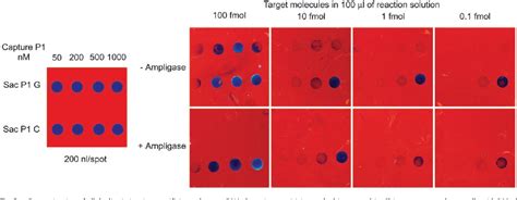 Figure From Single Nucleotide Polymorphism Genotyping On Optical Thin