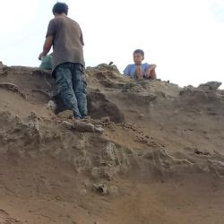 Increíble un niño de 8 años encontró los restos de un perezoso gigante