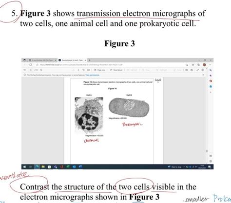 Solved 5 Figure 3 Shows Transmission Electron Micrographs Chegg