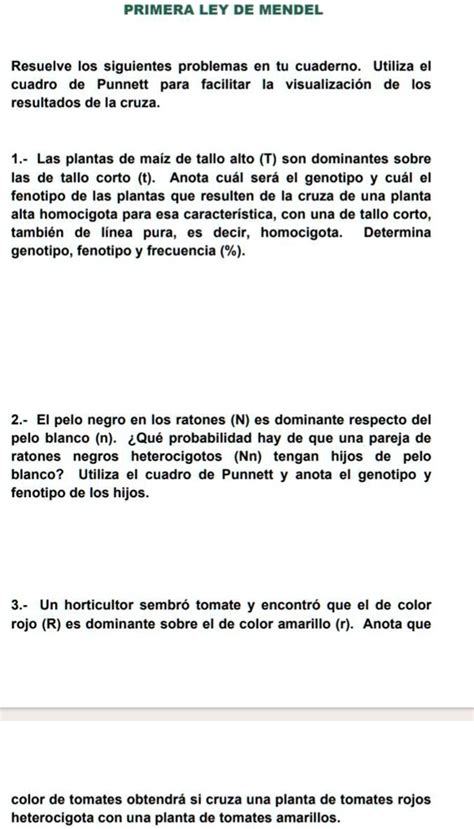 SOLVED AYUDA las plantas de maíz de tallo alto A son dominantes