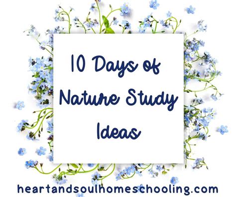 Our Nature Study Curriculum Choice - Heart and Soul Homeschooling