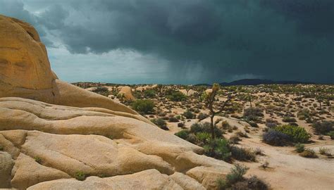 Major Deserts In The Us Mojave Sonoran Chihuahan Great Basin