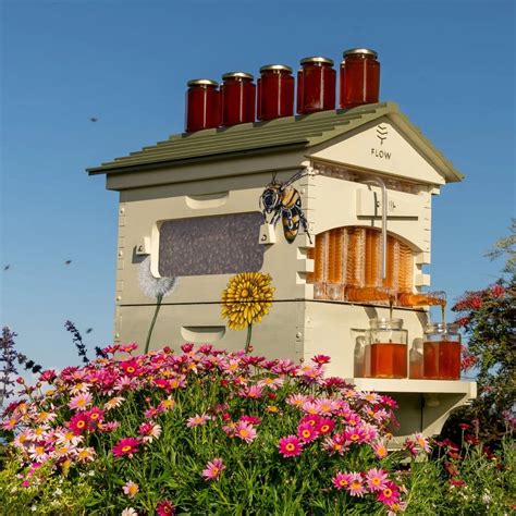 Flow Hive Classic Araucaria 6 Frame L Honey On Tap Beehive Flow Hive Au