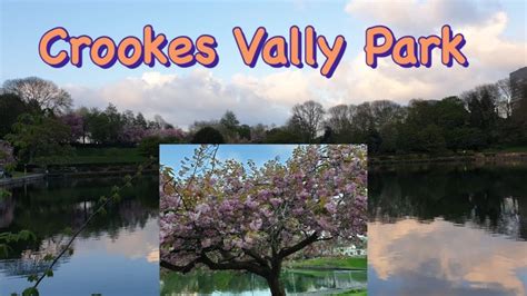 Crookes Valley Park Sheffield Youtube