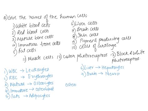 Solved Question Identify The Highlighted Cells Adipocytes