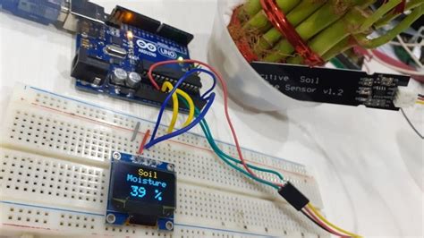 Capacitive Soil Moisture Sensor with OLED Display & Arduino | Sensor ...