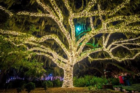 Festive Events Planned For Holiday Season Near Pawleys Island