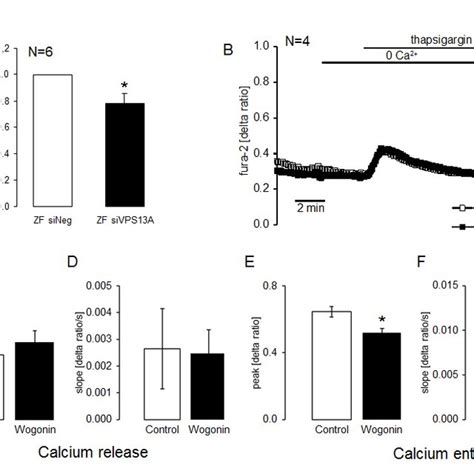 Chorein Sensitive Orai Protein Expression A Original Confocal