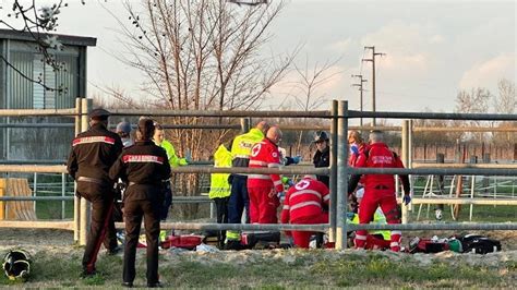 Tredicenne colpita al volto dal calcio di un cavallo è grave Cavallo