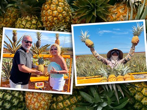 Dole Welcomes Visitors And Locals Wanting To Experience An Authentic