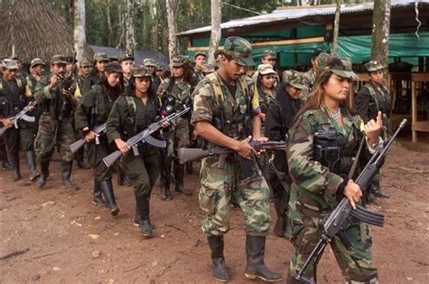 Las Farc Confirman La Entrega Del 30 De Las Armas A La Onu