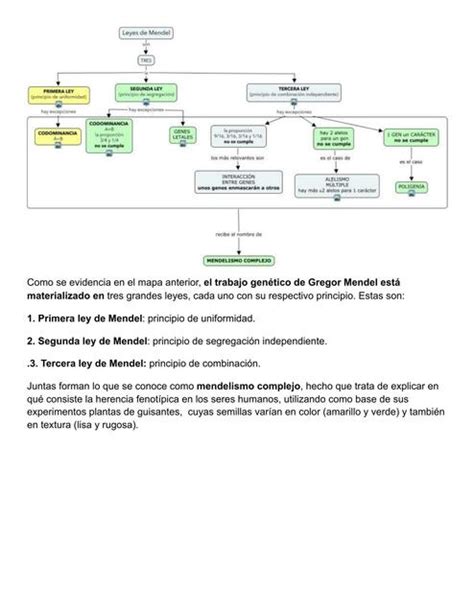 Leyes De Mendel Mapa Conceptual Donos Kulturaupice The Best Porn Website