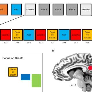 Real Time FMRI Neurofeedback Paradigm A The Experimental Protocol