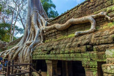 Angkor Wat Private Day Tour With Watching Sunset At Temple