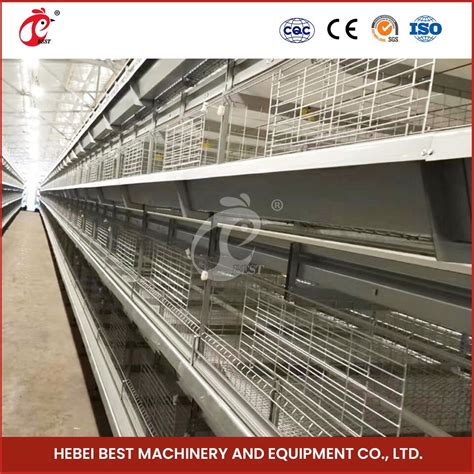 Bestchickencage H Frame Broiler Cages China Large Chicken Cages