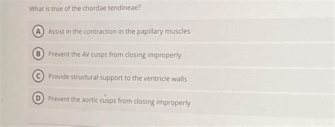 What Is True Of The Chordae Tendineaeassist In The