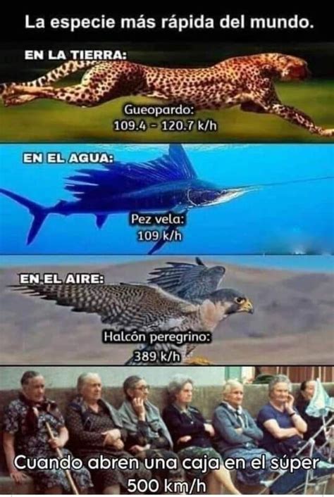 Las más veloces Meme subido por elTxo Memedroid