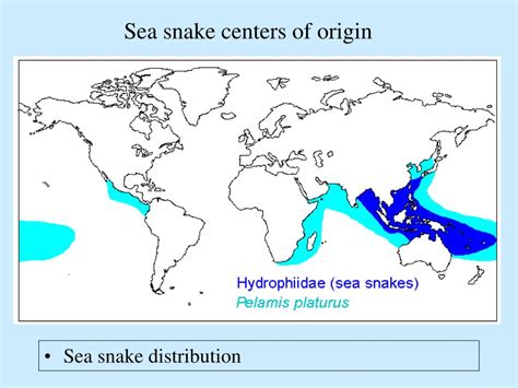 Ppt Unit 3 Lecture 3 Recent Distribution Patterns Dispersal And Centers Of Origin Powerpoint