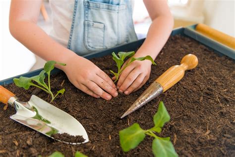 Jardiner Avec Les Enfants Que Faire Au Potager The Best Porn Website