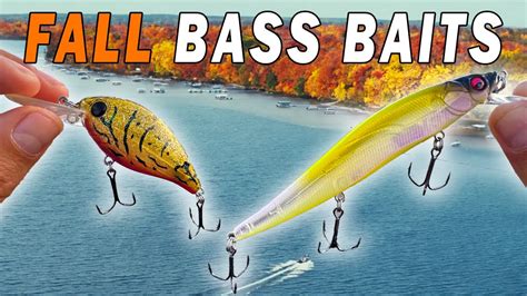 Mastering Fall Bass Fishing The Baits That You Need Youtube