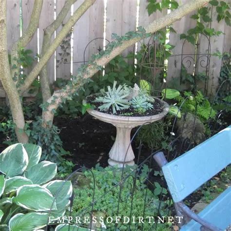 14 Birdbath Planter Ideas For Your Garden Empress Of Dirt