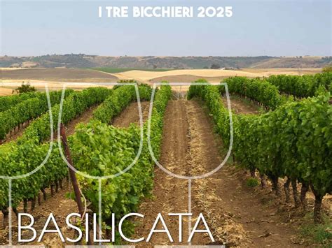 Tre Bicchieri I Migliori Vini Della Basilicata Premiati Dal