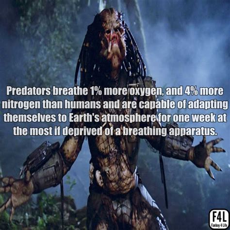 The Predator Yautja 20 Thrilling Facts Fanboy 4 Life