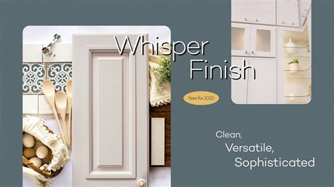 Wellborn Cabinets Colors Cabinets Matttroy