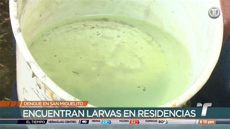 Telemetro Reporta On Twitter Contin An Aumentando Los Casos De Dengue