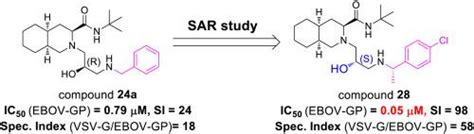 Discovery Of Potent Ebola Entry Inhibitors With 3S 4aS 8aS 2 3 Amino