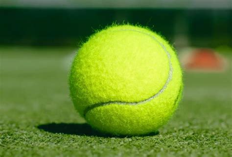 Tennis Balls 13 Surprising Facts You Should Know