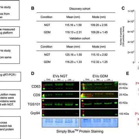 Isolation And Characterization Of Evs A Outline Of The Study Design