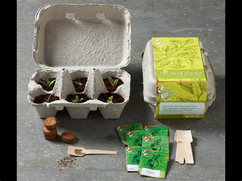 Indoor Herb Garden - Kits to Grow Herbs Indoors | HGTV