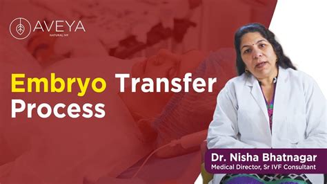 Embryo Transfer Process Explained By Dr Nisha Bhatnagar At Aveya Ivf