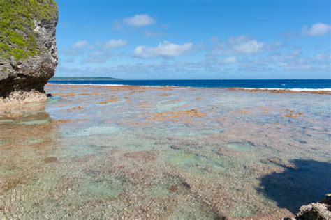 Niue Holiday Stock Photos Pictures And Royalty Free Images Istock