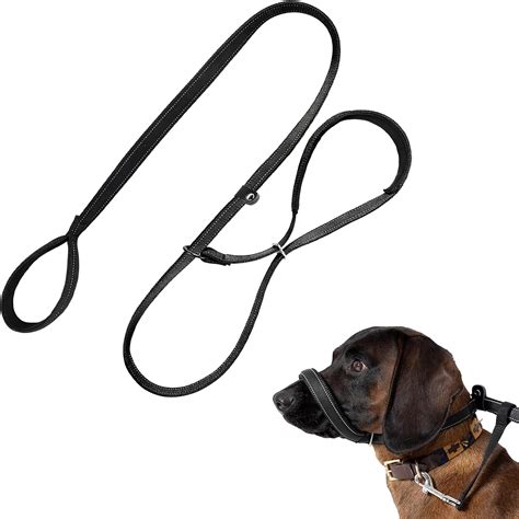 What Dog Lead Is The Best at Emma Lowell blog
