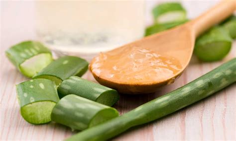 Conoce Los Múltiples Beneficios Del Aloe Vera También En La Alimentación Foto 1