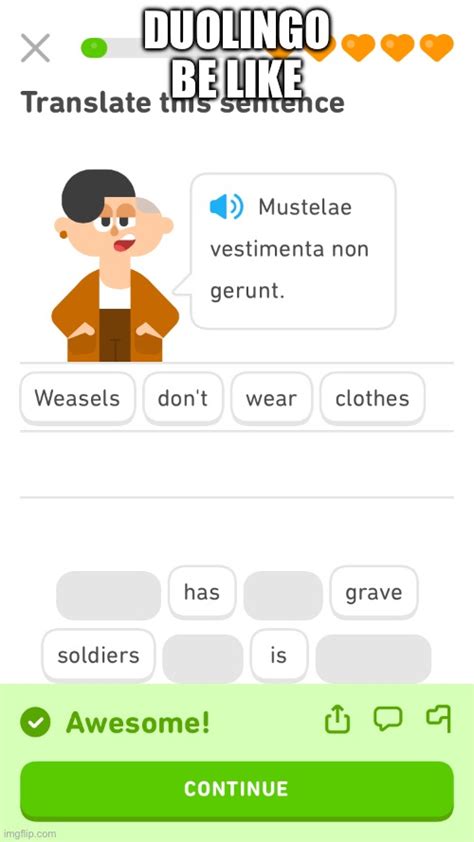 Duolingo Be Like Imgflip