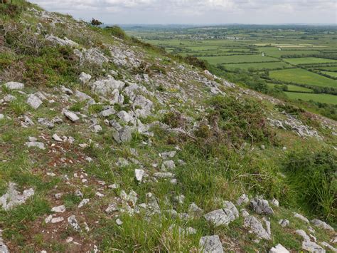 Adventures at Crook Peak - Somerset Rare Plants Group