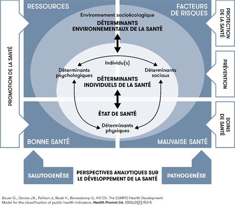 Prévention And Promotion De La Santé Dans La Communauté Institut Et Haute Ecole De La Santé La