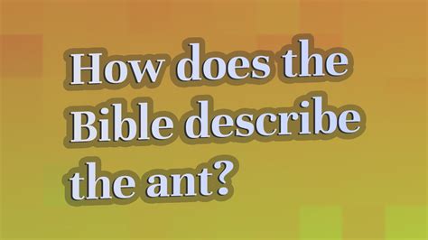 How Does The Bible Describe The Ant Youtube