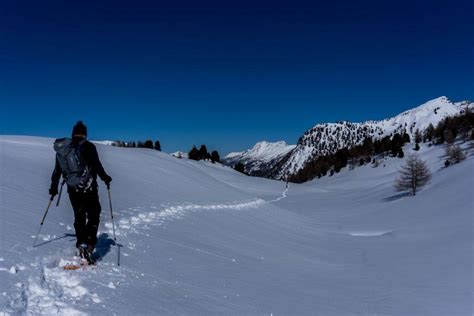 Alps Hiking Tours: again and again! - Trekking Alps