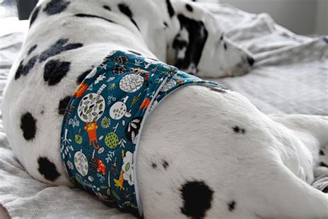 Diy Custom Fitted Belly Band Dog Diaper Dalmatian Diy