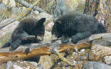 Art Country Canada Carl Brenders Double Dare Black Bear Cubs Limited